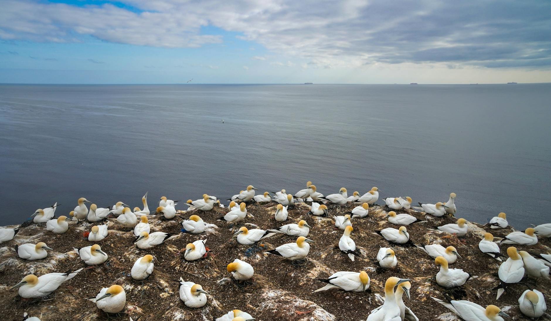 Mehr über den Artikel erfahren Helgoland: Die faszinierende Nordseeinsel