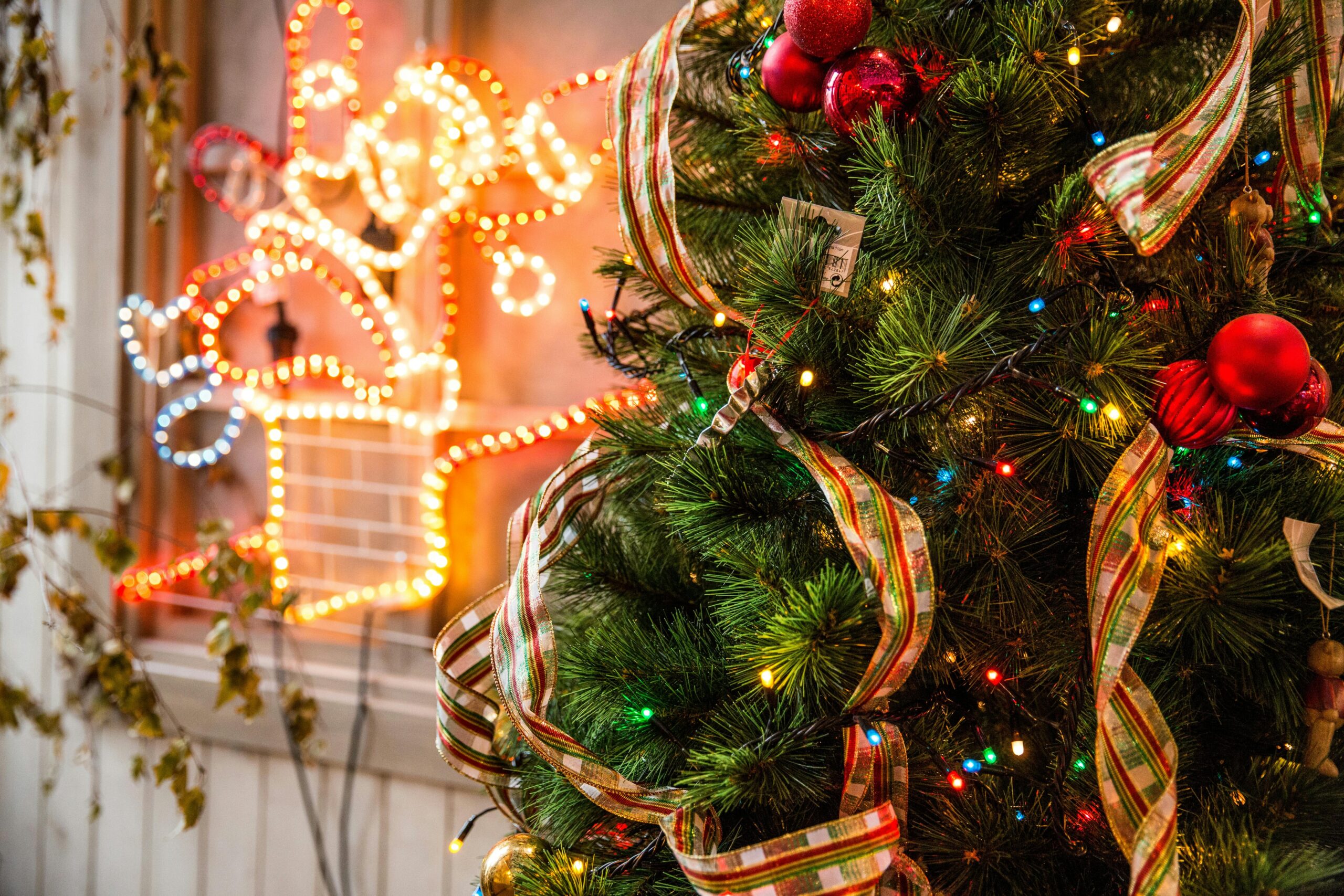 GrÃ¼ner Weihnachtsbaum