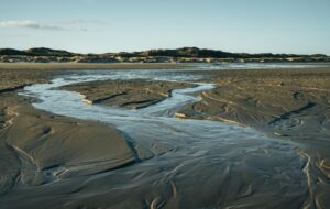 Mehr über den Artikel erfahren Borkum: Anreise, Klima und Pauschalreise-Angebote