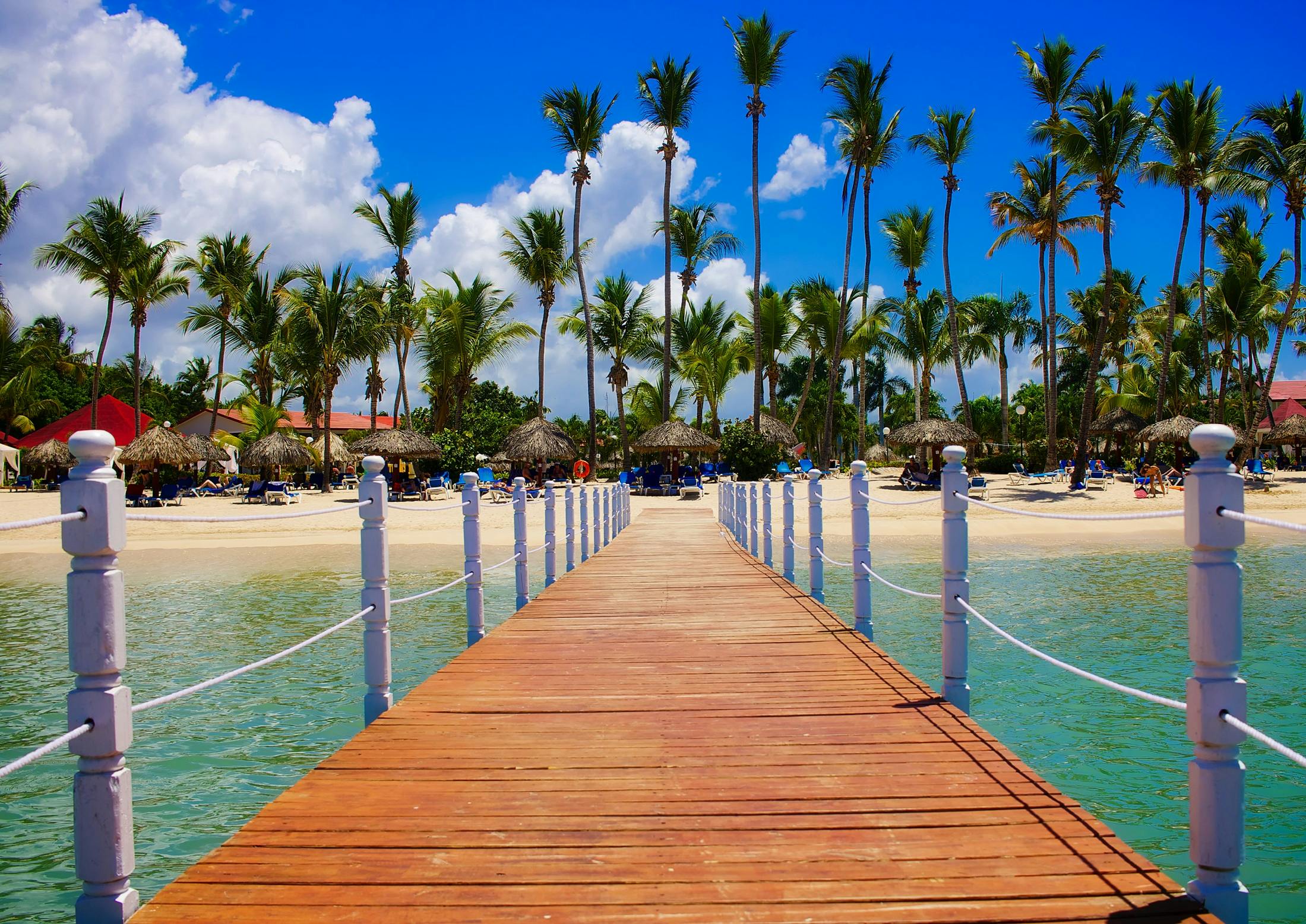 Blick Auf Palmen Am Strand