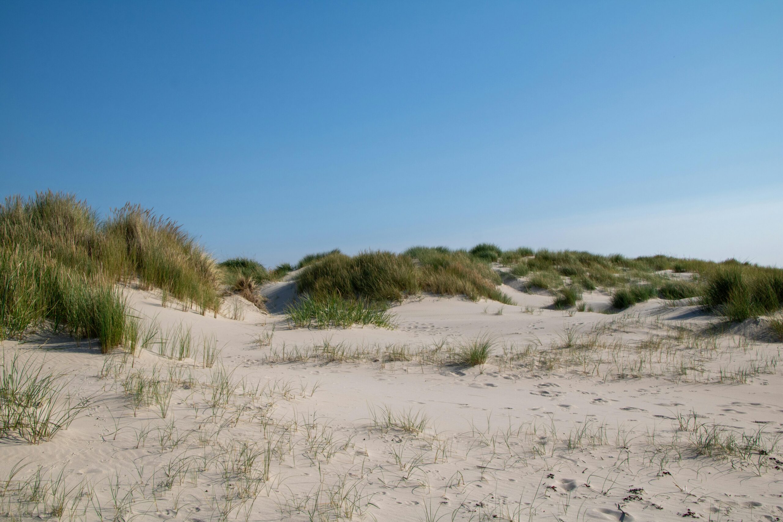 Malerische DÃ¼nen Und Klarer Blauer Himmel Am Amrumer Strand